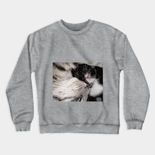 Love mum cat and baby cat Crewneck Sweatshirt